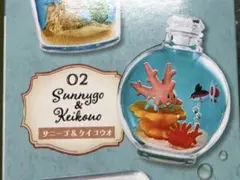AQUA BOTTLE Collection2 サニーゴ　ケイコウオ