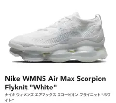 黒タグ付 ナイキ エアマックス スコーピオン フライニット 入手困難 25cm