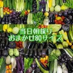 当日朝採り野菜詰め合わせ☆おまかせ野菜セット80サイズ産地直送のサムネイル