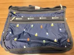 Item thumbnail for item b69529ea-40ea-4a68-bf5f-f2f0f0056e87