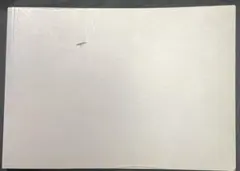 Félix González-Torres America