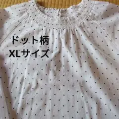 フェリシモリブインコンフォートコットンブラウス水玉