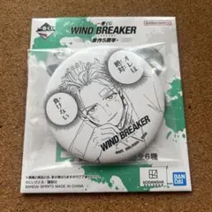 WIND BREAKER ウィンブレ TSUTAYA 原画 缶バッジ 梅宮一 - メルカリ