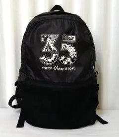 【キズあり】ディズニーリゾート35周年　アディダス　リュック　レア　男女兼用