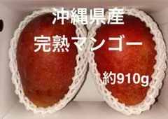 2026年最新】マンゴーの人気アイテム - メルカリ