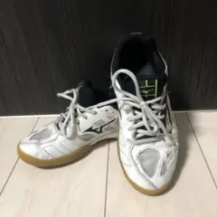 Item thumbnail for item 9a9bea16-1003-4646-abd8-9530be523f54