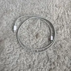 Item thumbnail for item a7c996c2-d68a-4966-b691-7cfa938a267f