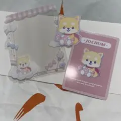 ジェオチャム 3点セット まめちぃ 豆原一成