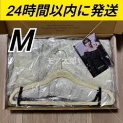 Item thumbnail for item 9a5efe14-f64b-4ac7-9ead-93230378c2d3