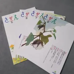 【匿名配送】月刊糖尿病ライフ さかえ　2025年5月～8月　4冊セット