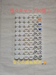 送料込み♪先着1名様♪色々ペットボトルのキャップ60個ですのサムネイル