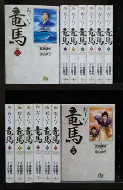 美品 項羽と劉邦 新装版 愛蔵版1-12巻セット 全巻セット 横山光輝