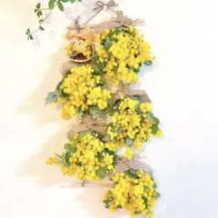 ドライフラワー スワッグ ガーランド はしご風 パールアカシアミモザ かすみ草
