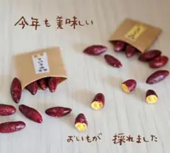 ◆ミニチュア焼き芋◆