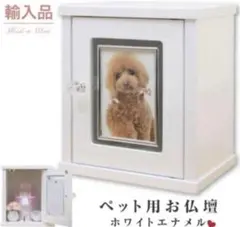 Item thumbnail for item 0b53e6b1-4dbb-48e4-b9f3-86de6bc400d0