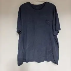 フルーツオブザルーム 無地 Tシャツ 2XL 紺 綿 ビッグサイズ 普段着