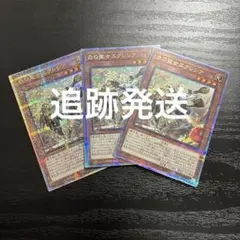 PSA10】遊戯王 白の聖女エクレシア 絵違い イラスト違い クオシク 25