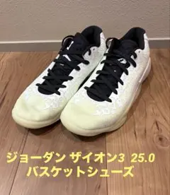 최종 가격 NIKE 조던 시온 3 25.0 바구니 신발