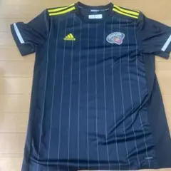 サントリーサンゴリアス