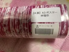 Item thumbnail for item 39ac29ea-5a1d-4783-954e-f5158eeaa218