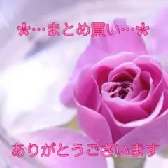 あずきなこた時々まろん購入前はコメお願い様 リクエスト 3点 まとめ商品