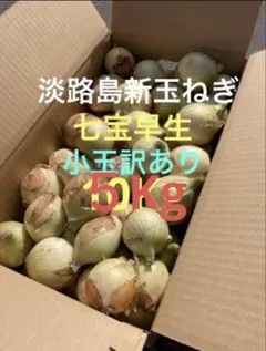 七宝早生♦︎秀品3Lサイズ10Kg ♦︎淡路島新玉ねぎ たまねぎ 玉葱
