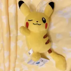 匿名配送／くつろぎタイムぬいぐるみ／ピカチュウ