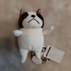 2026年最新】ぶるぶるどっぐ ぬいぐるみの人気アイテム - メルカリ