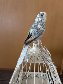 青いインコ ＃2210 ☆B＆G（ロイヤルコペンハーゲン） デンマーク 絶版