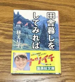 Item thumbnail for item 8afd75dd-a2e4-4f39-a4d3-c247e8b8e272