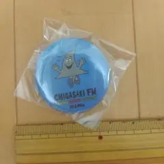 【レア】サザンオールスターズ バッジまとめ売り レア】サザンオールスターズ バッジまとめ売り 2025年最新