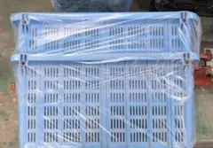 青色 プラスチック製 コンテナ 中古品 使用感あり 2つ - メルカリ