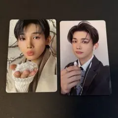 &TEAM JO 雪明かり 月狼 トレカ 2枚