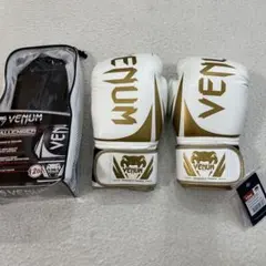 Item thumbnail for item 552b31c4-8897-45cb-922b-f14229529855