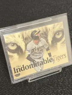 ひでちゃん様 リクエスト 2点 まとめ商品