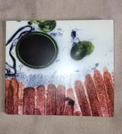 Item thumbnail for item c2bcbe00-9581-435d-864c-10993d41de14