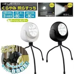 防犯 ライト 人感センサー 360度回転 IP44