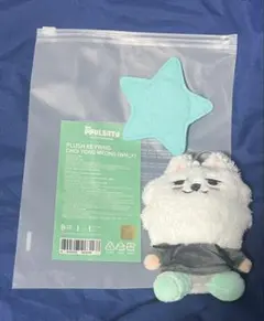 スビン　プルバトゥ　初代 初代プルバトゥ再販は8日11時からグローバルにて！#TXT #プルバトゥ