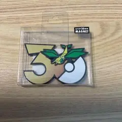 ポケモン 30周年記念 マグネット ビブラーバ - メルカリ