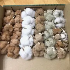 メグねず様 リクエスト 2点 まとめ商品