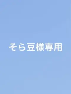 【そら豆様専用】