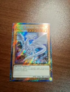 遊戯王　青眼の白龍　ブルーアイズホワイトドラゴン　プラチナシークレットレア　英語