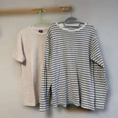 メンズ Tシャツ 縞柄