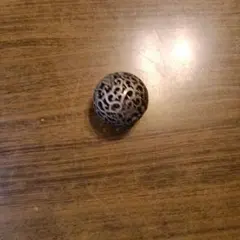 鳳凰透かし彫りのサムネイル