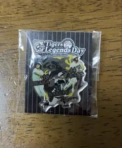 Item thumbnail for item 5d2e00e4-96bb-484d-89e9-65a3fa93c55e