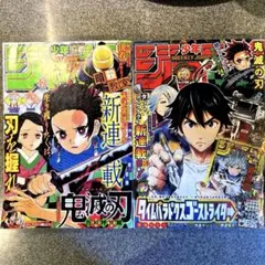 週刊少年ジャンプ 2016年11号 鬼滅の刃 新連載号 - メルカリ