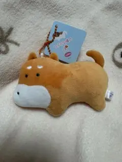 つぶらな瞳の犬 ぬいぐるみキーホルダー