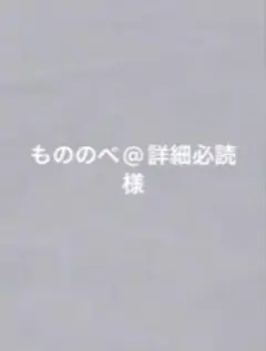 専用ページ
