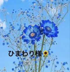 ひまわり様 リクエスト 4点 まとめ商品