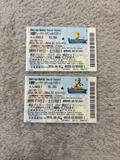 東京ディズニーリゾート パスポート 【期限切れ】 コレクション用